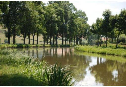 Nos deslumbrará la belleza del canal